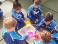 PROJECTE 7